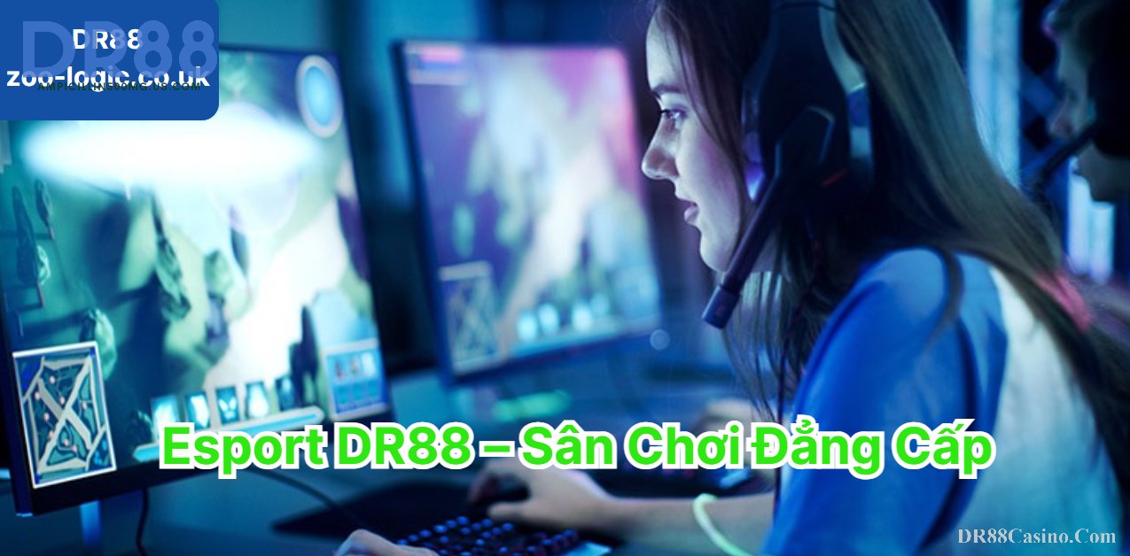 Esport DR88 – Sân Chơi Thao Điện Tử Đẳng Cấp